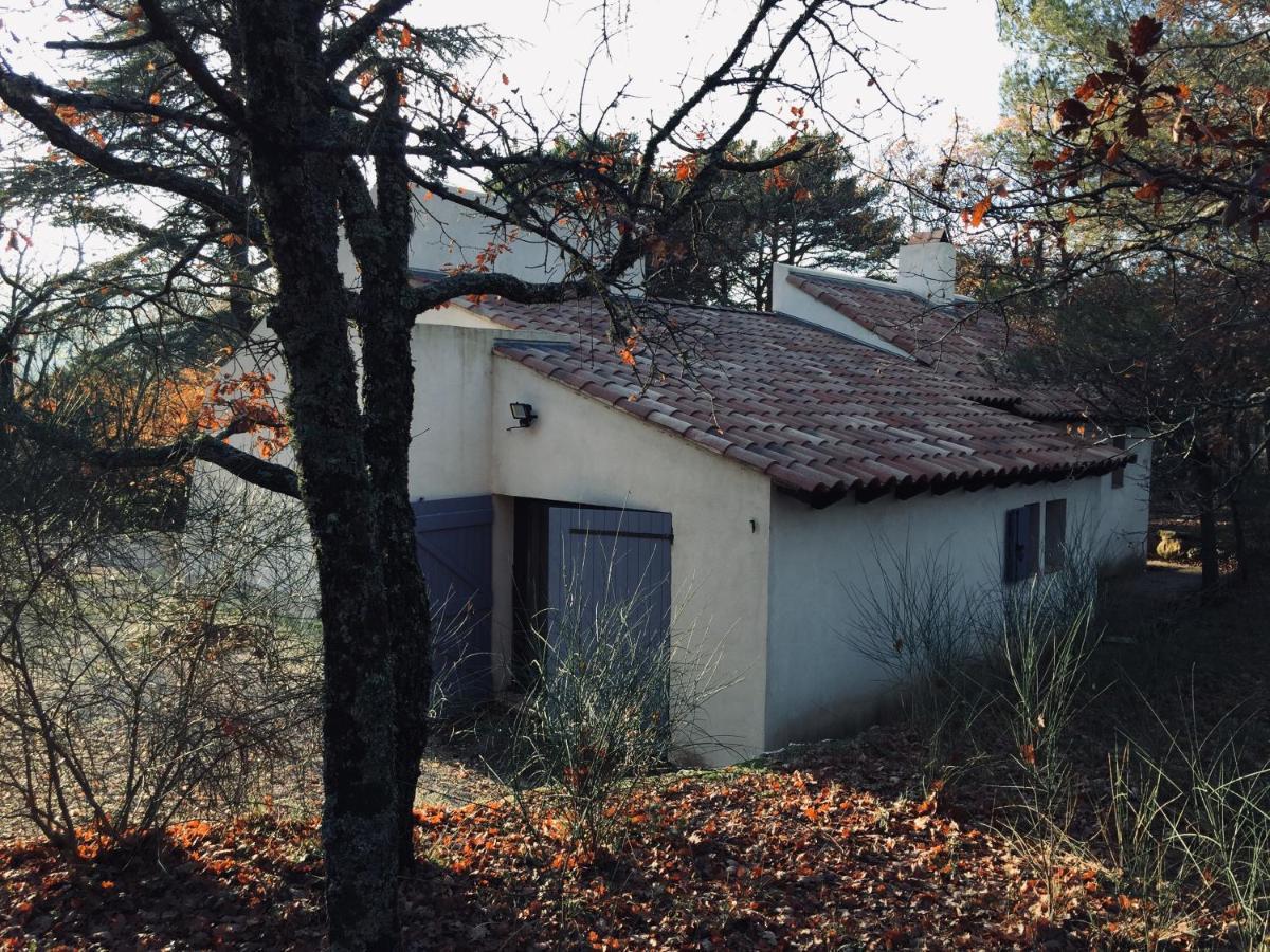 La Maison De Mado Et Sa Cabane Dans Les Arbres Plan d'Aups エクステリア 写真