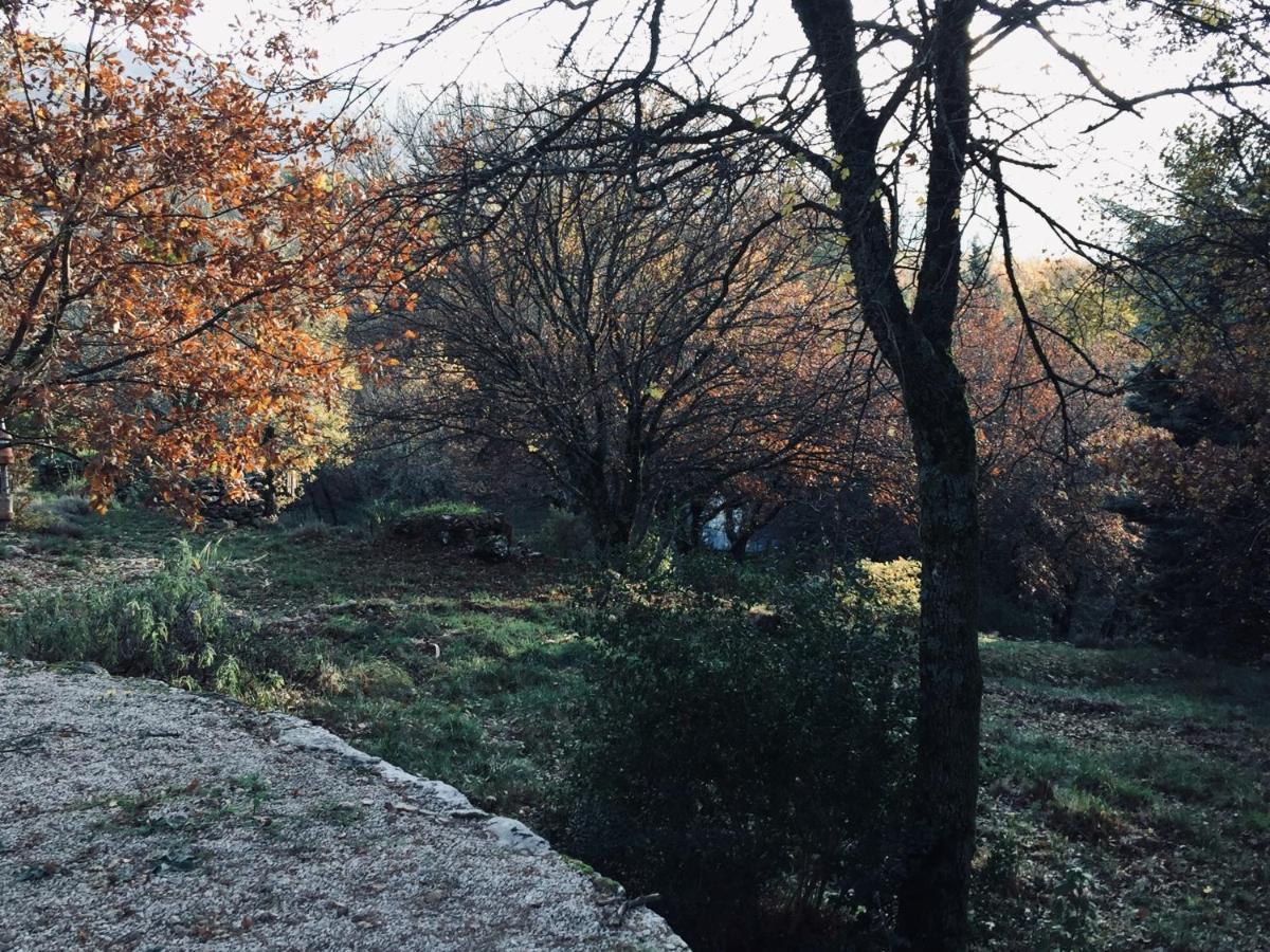 La Maison De Mado Et Sa Cabane Dans Les Arbres Plan d'Aups エクステリア 写真