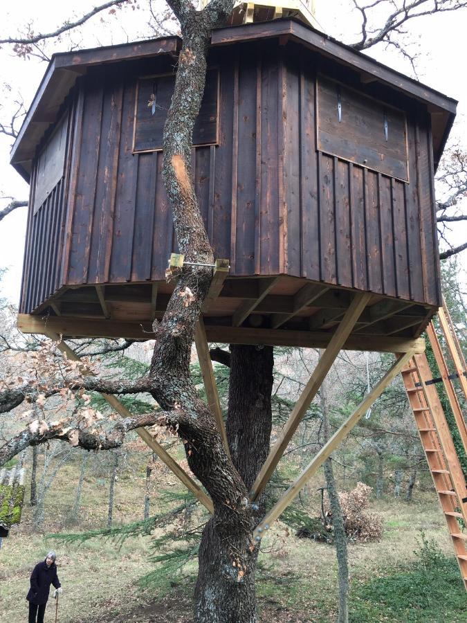 La Maison De Mado Et Sa Cabane Dans Les Arbres Plan d'Aups エクステリア 写真
