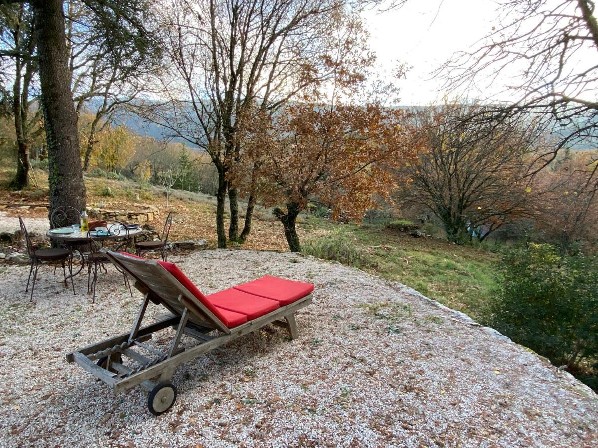 La Maison De Mado Et Sa Cabane Dans Les Arbres Plan d'Aups エクステリア 写真